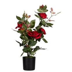 Paperflow PARROU54 Kunstpflanze Rosenstock rt 54cm