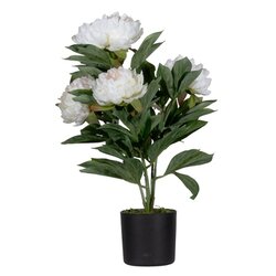 Paperflow PAPIVB55 Kunstpflanze Pfingstrose ro 55cm