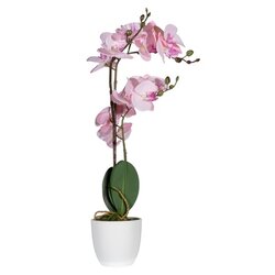 Paperflow PAORCH50 Kunstpflanze Orchidee ro 40cm 