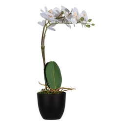Paperflow PAORCH40 Kunstpflanze Orchidee ws 40cm 