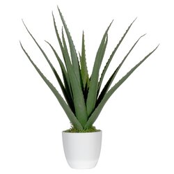 Paperflow PAALOE45 Kunstpflanze Aloe Vera 45cm 