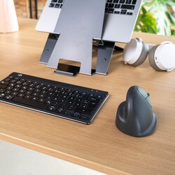 R-Go Tools Optische PC Maus HE Basic ergonomisch