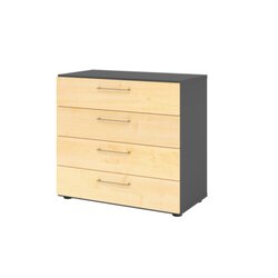 Hammerbacher V928S4/G/3/BS  Regal 2OH 4Schübe gp/Ahorn