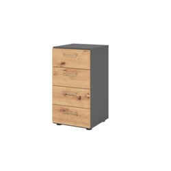 Hammerbacher V924S4/G/R/BS  Regal 2OH 4Schübe gp/Asteiche