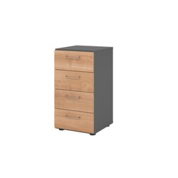Hammerbacher V924S4/G/N/BS  Regal 2OH 4Schübe gp/Nussbaum