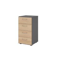 Hammerbacher V924S4/G/E/BS  Regal 2OH 4Schübe gp/Eiche