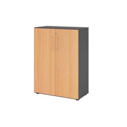 Hammerbacher V938T3/G/6/BS  Regal 3OH Türe gp/Buche