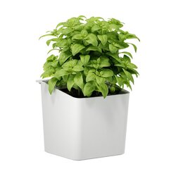 tesa® Kräutertopf KITCHEN
