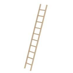 MUNK 33110 Anlegeleiter Holz oTraverse 10Sprossen