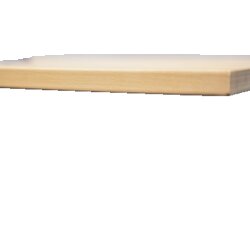 RAU Schreibtisch Adlatus 100 25 cm lichtgrau