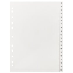 without brand 219 Register A4 20tlg 1-20 ws