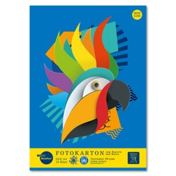 Edition Dürer 053636000 Fotokarton DIN A4 300g 10Blatt 