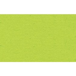 URSUS 223-22-51 Tonzeichenpapier 50x70cm hgn 10Bl