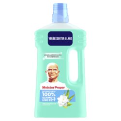 Meister Proper 8700216624664 Allzweckreiniger Frühlingserwachen 1l