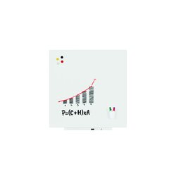 rocada Whiteboard Skin Pro 100 x 100 cm (B x H)