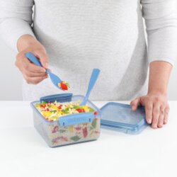 sistema Lunchbox Lunch Plus