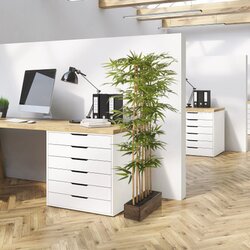 hjh OFFICE Zimmerpflanze Bambus I