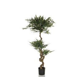 hjh OFFICE 871054 Kunstpflanze ACACIA 155cm gn