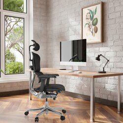 hjh OFFICE Bürodrehstuhl ERGOHUMAN GEN2