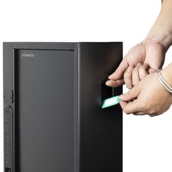 Phoenix Schlüsseltresor Fingerabdruck