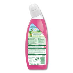 Frosch WC-Reiniger Himbeer-Essig
