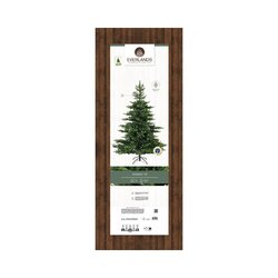 EVERLANDS Weihnachtsbaum Grandis 182 x 300 cm (Ø x H)