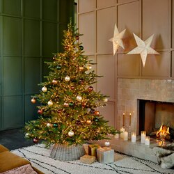 EVERLANDS Weihnachtsbaum Grandis 150 x 210 cm (Ø x H)