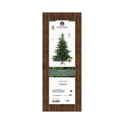 EVERLANDS Weihnachtsbaum Grandis 150 x 210 cm (Ø x H)