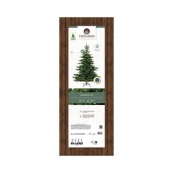 EVERLANDS Weihnachtsbaum Grandis 132 x 180 cm (Ø x H)