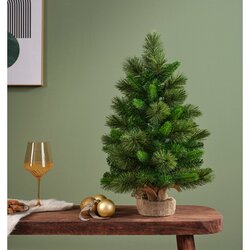 EVERLANDS Weihnachtsbaum Edmonton Spruce