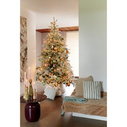 EVERLANDS Weihnachtsbaum Grandis 150 x 210 cm (Ø x H)