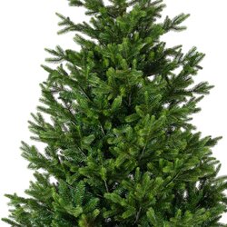 EVERLANDS Weihnachtsbaum Nordmann Tanne 130 x 180 cm (Ø x H)