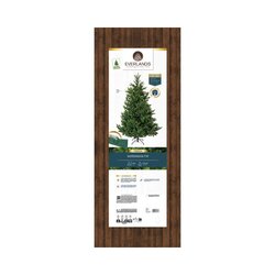 EVERLANDS Weihnachtsbaum Nordmann Tanne 130 x 180 cm (Ø x H)