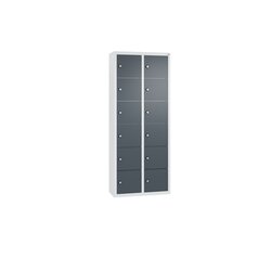 C+P 80700223S10027 Spind 12Fächer 113x46x20cm lgr/an