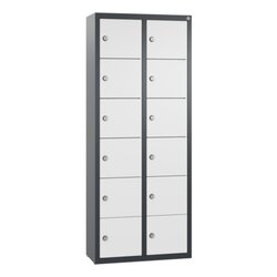 C+P 80700223S10032 Spind 12Fächer 113x46x20cm an/lgr