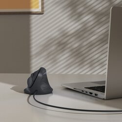 Hama Optische PC Maus ECM-500R ergonomisch