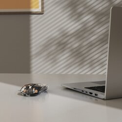 Hama Optische PC Maus WM-600