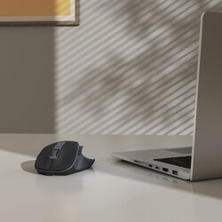 Hama Optische PC Maus WM-500
