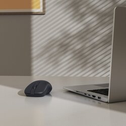 Hama Optische PC Maus WM-100