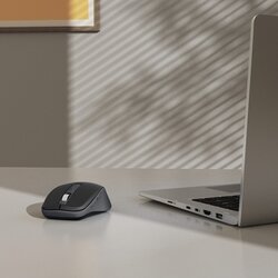 Hama Optische PC Maus WM-450