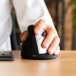 R-Go Tools Optische PC Maus HE Break ergonomisch