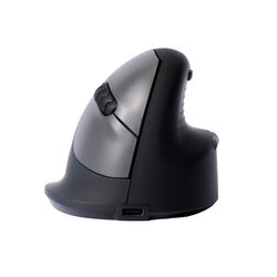 R-Go Tools Optische PC Maus HE Break ergonomisch