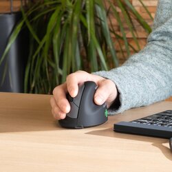 R-Go Tools Optische PC Maus HE Break ergonomisch