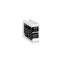 Epson Tintenpatrone T46S7 grau