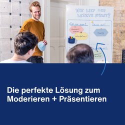 magnetoplan® Moderationskarte Königswabe 500 St./Pack.
