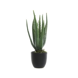 DECORIS Kunstpflanze Aloe Vera