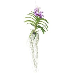 Neutralware 490027642 Vanda Orchidee L lila 