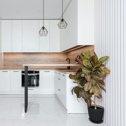 Zimmerpflanze XXL Codiaeum Iceton, Neutralware