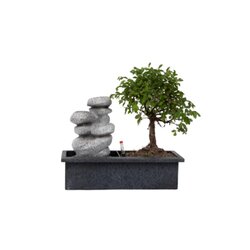 Neutralware 490029200 Bonsai Wasserfall-Set Stones 29cm