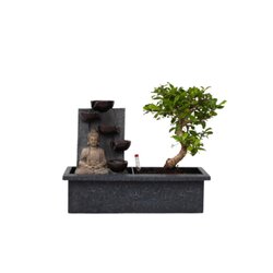 Neutralware 490030600 Bonsai Wasserfall-Set Buddha 29cm